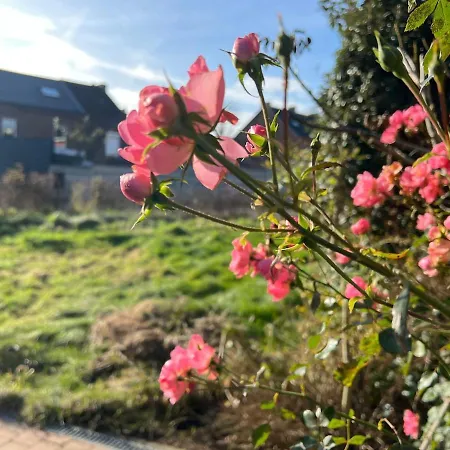 Isa'bellescale - Fully Equipped House 2km From Brussels South Airport